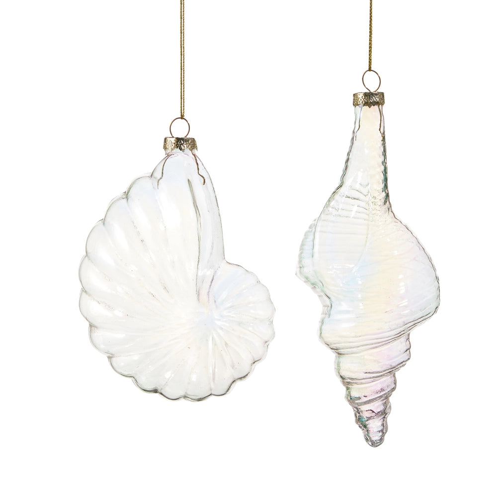 Iridescent Sea Shell Ornaments