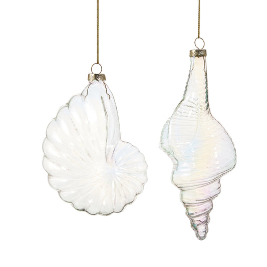 Iridescent Sea Shell Ornaments