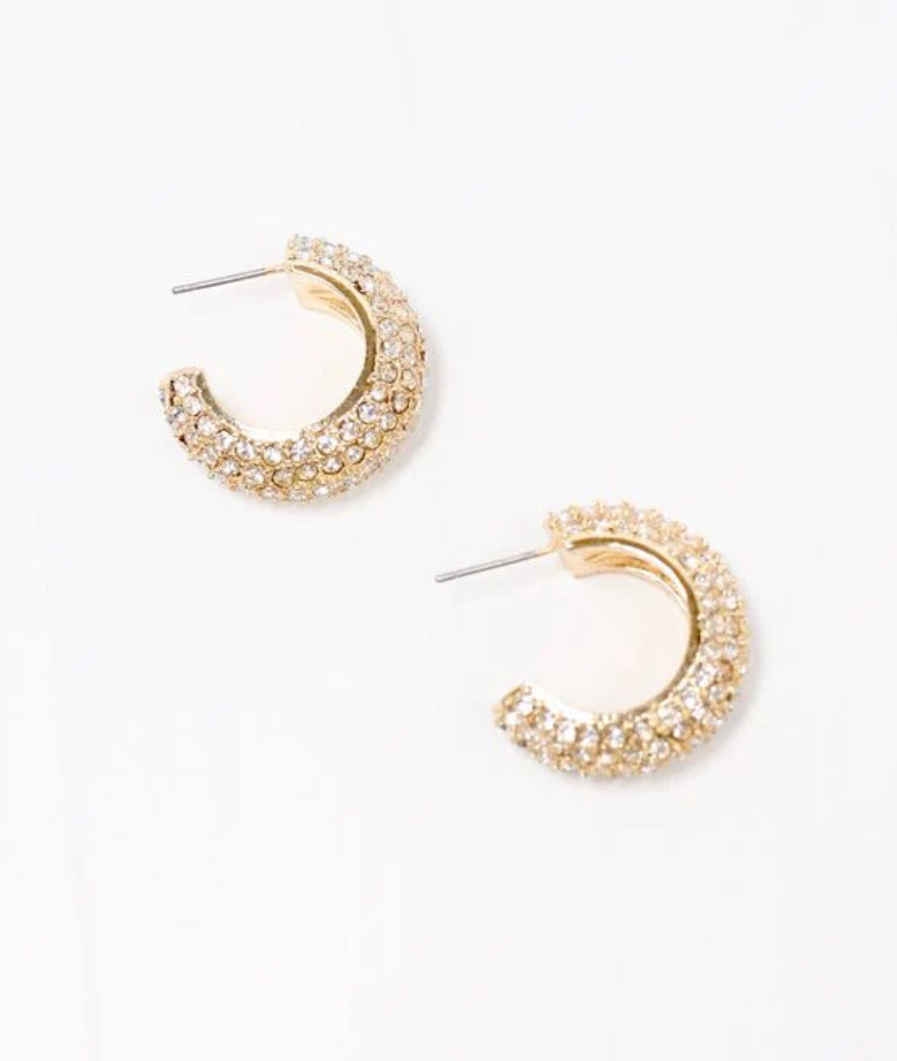 Phyllis CZ Hoop Earring