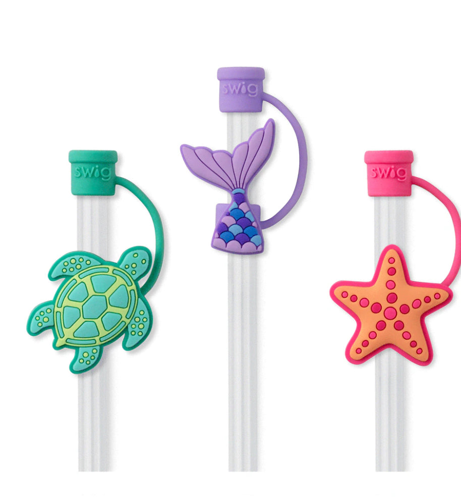 Straw Topper Set