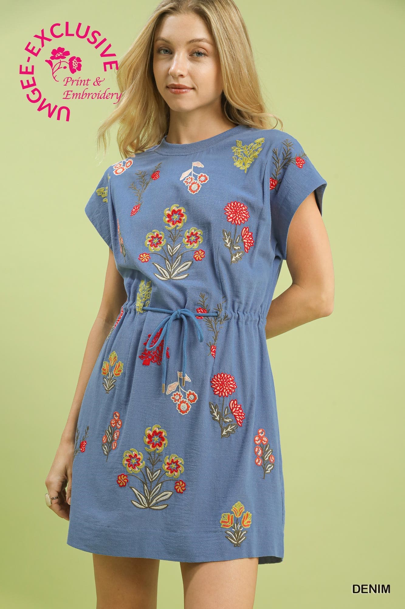 Blue Meadow Embroidered Dress