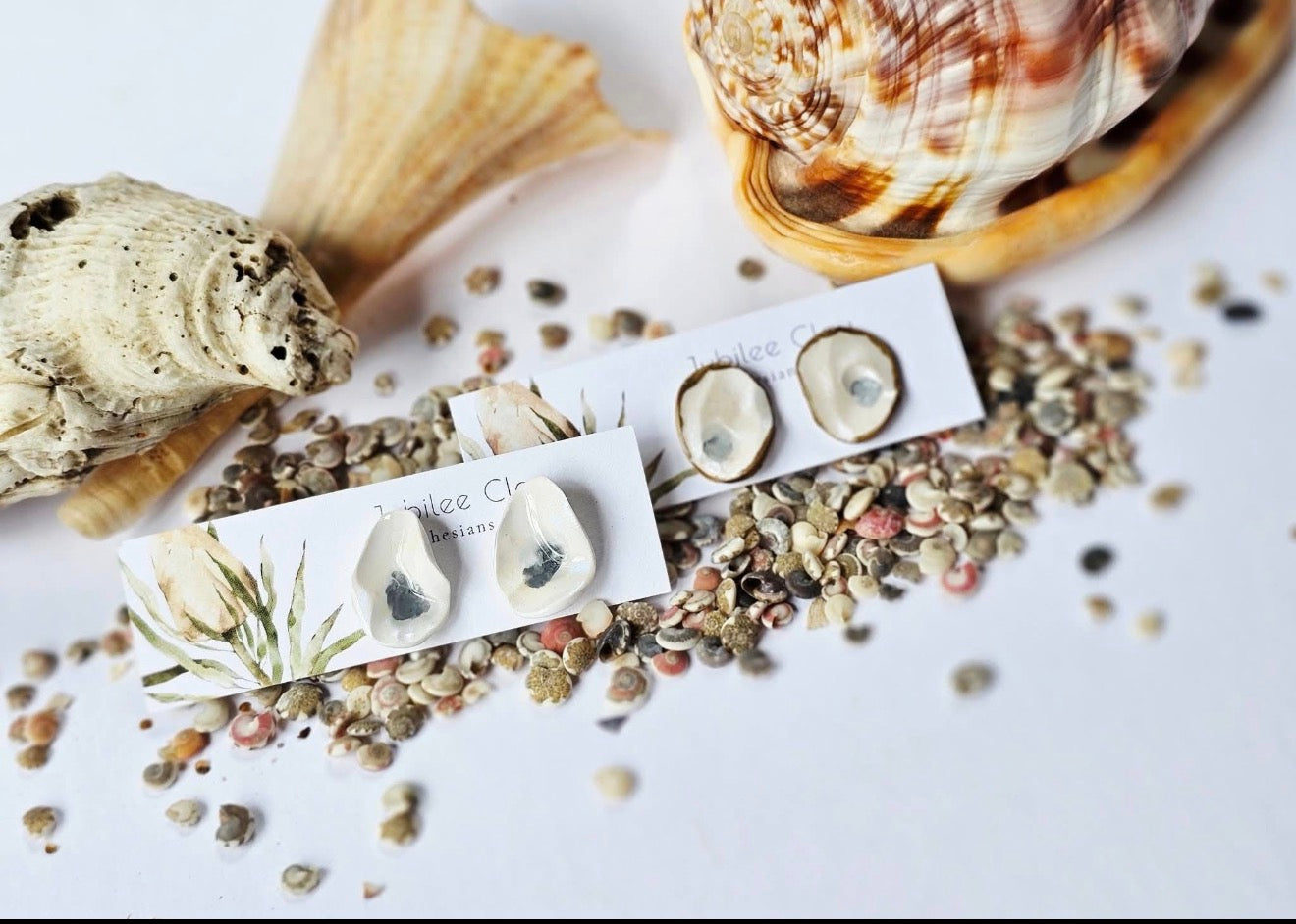 Oyster Stud Earring