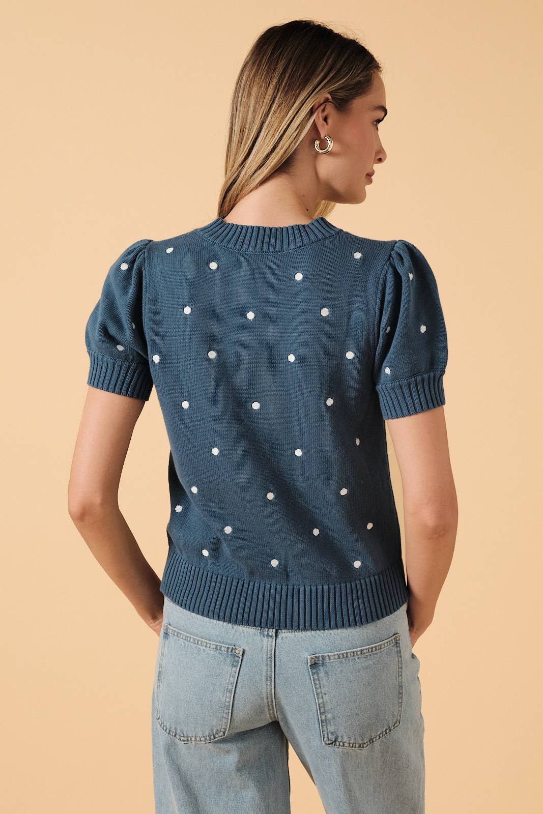 Round Neck Puff Short Sleeve Polka Dot Embroidered Sweater