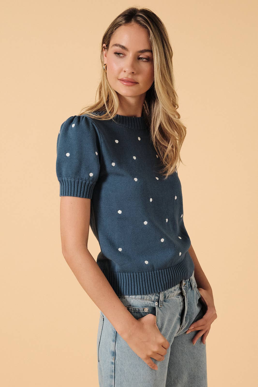 Round Neck Puff Short Sleeve Polka Dot Embroidered Sweater