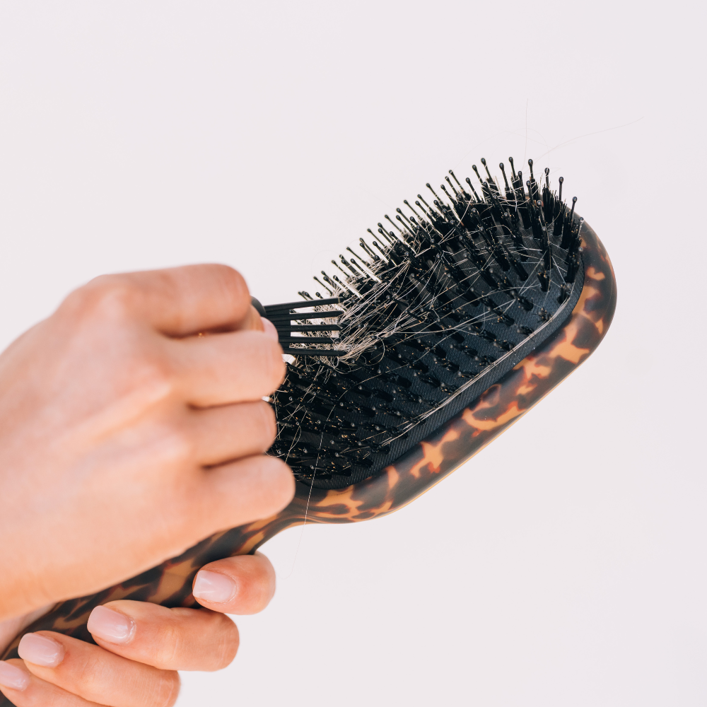Boar Brush | Full Size | Tortoise
